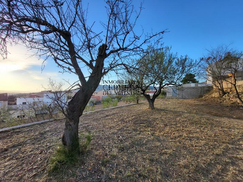 Foto 3ae577e9-6d43-43ae-bc40-eac08dd45940. Terreno residencial en Traiguera