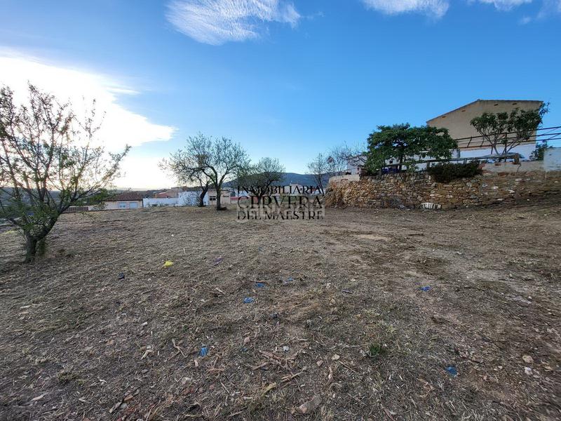 Foto 42476792-325f-481b-a11d-34ac5bda2be1. Terreno residencial en Traiguera