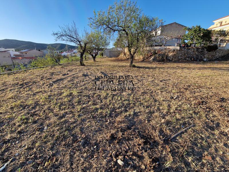 Foto 53778209-4633-4c5c-8779-a0c0cf2b7f9e. Terreno residencial en Traiguera