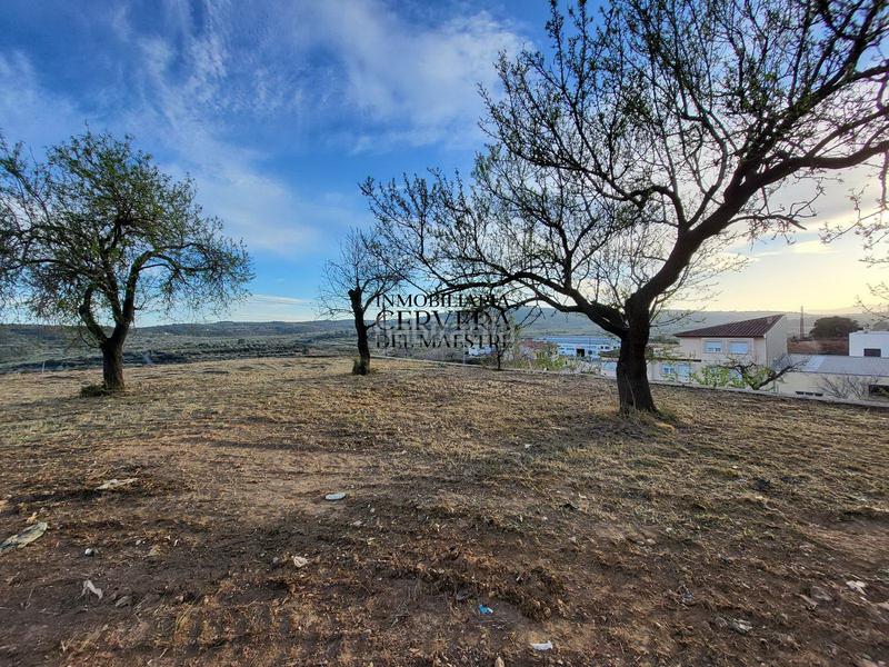 Foto 6b1f69f9-4904-4533-a538-2664d5aaf14a. Terreno residencial en Traiguera