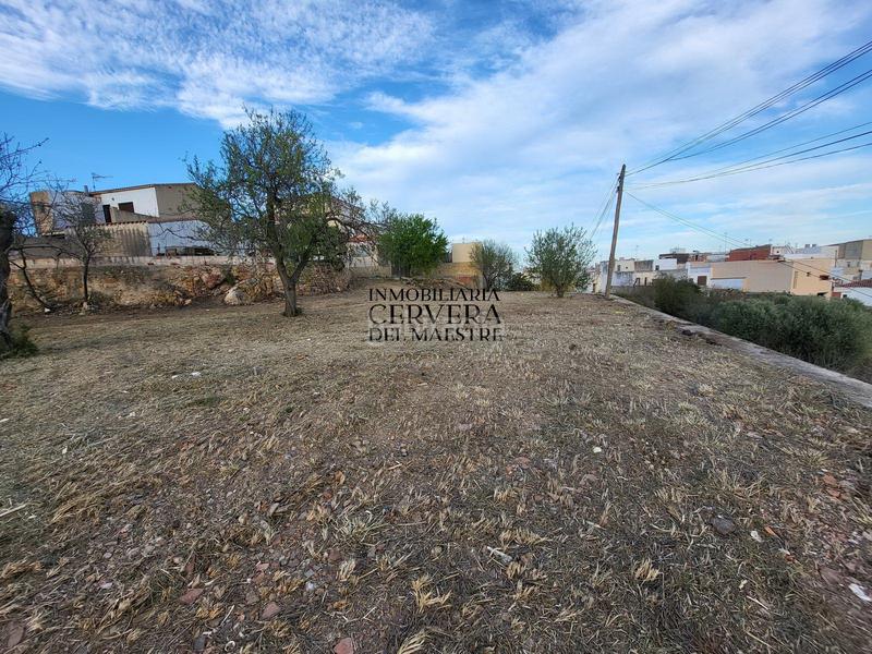 Foto 801c44c9-63a5-41f1-985f-ec8e840af552. Terreno residencial en Traiguera