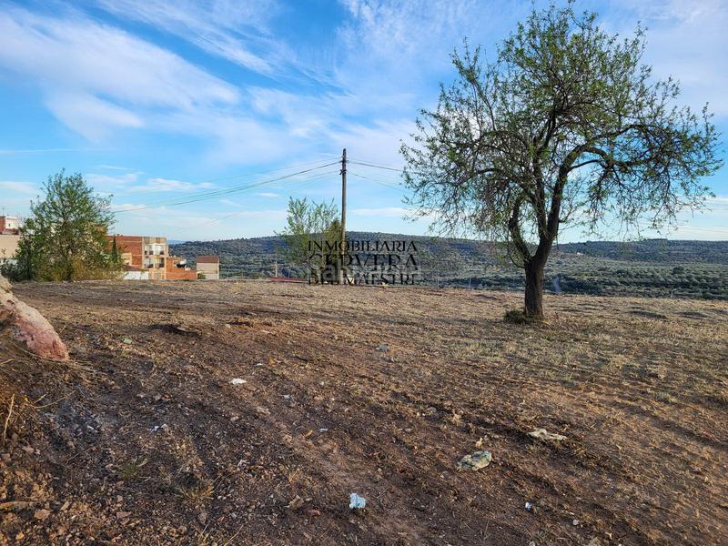 Foto 91a5baa4-2677-4d82-9c9c-79f783d76fe5. Residential plot in Traiguera