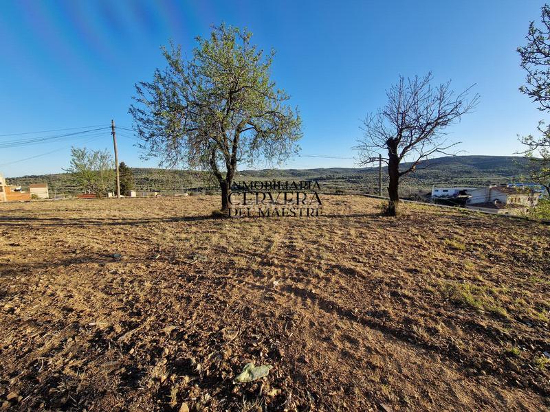 Foto c6414143-5f69-4bb6-8f50-f2f4ece3bc54. Terrain résidentiel dans Traiguera