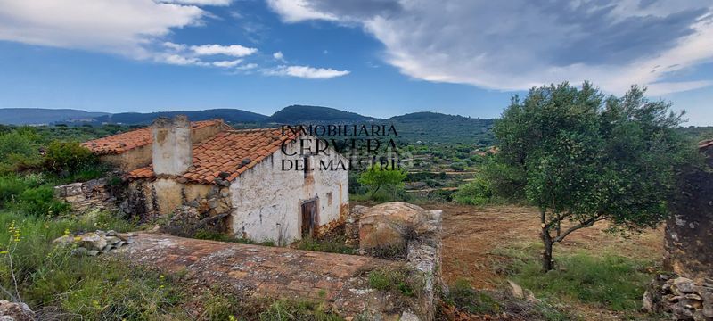 Foto de820f05-4d2c-4d85-b31b-a8663efb1381. Masia a Sierra Engarcerán