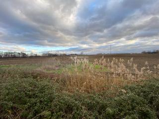 Rural plot in Cihuri