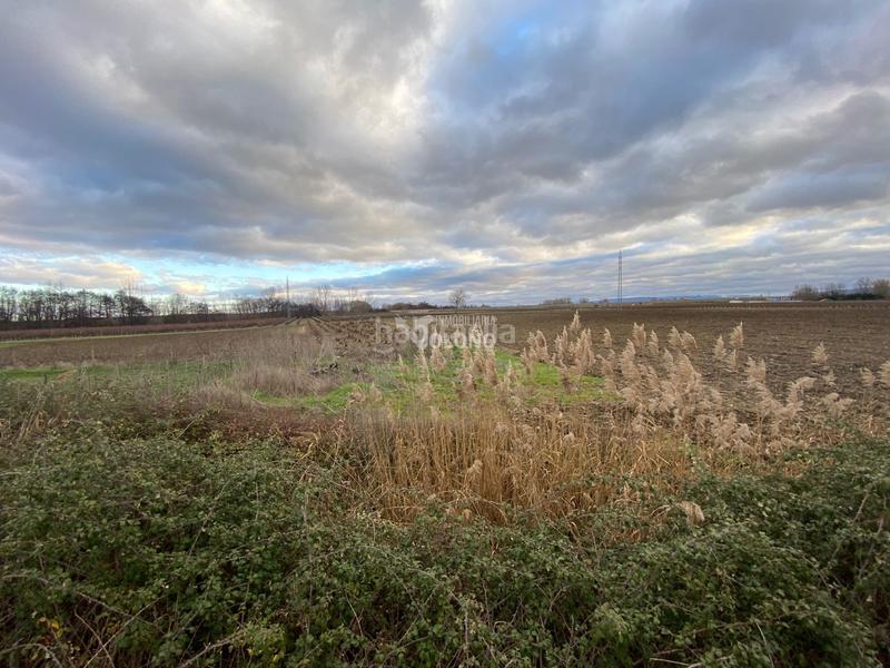 Foto 58dd2f3a-dc26-445d-ae0d-c11c6e85ed38. Finca rústica en Cihuri