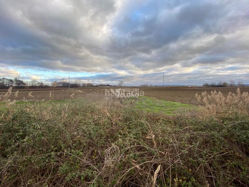 Foto e4b9b004-15f2-4152-aacc-c0511df6998a. Finca rústica en Cihuri