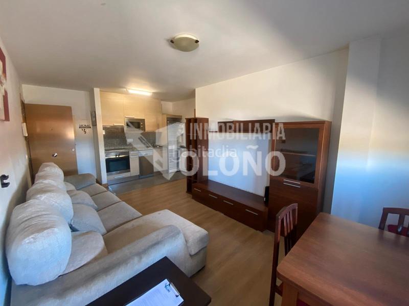 Foto b54b68b2-e635-4620-9cb4-2aa446d67d2a. Dúplex duplex con 2 terrazas con preciosas vistas en Zarratón