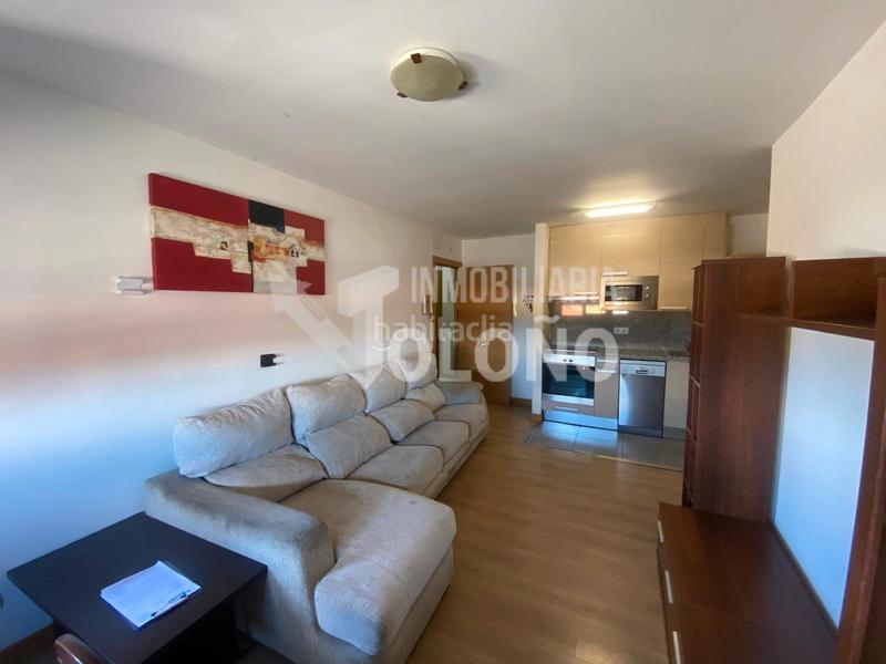 Foto e0d14bea-6337-4bf6-8b02-928fe7cdaaa4. Dúplex duplex con 2 terrazas con preciosas vistas en Zarratón