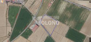 Finca rústica en Camino el crucero 14. Amplia parcela rústica