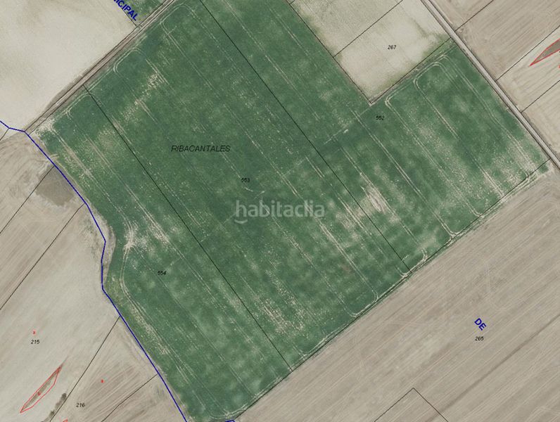 Foto 3edf56f3-1277-4483-902f-291f627effe4. Finca rústica a n/a a Ochánduri