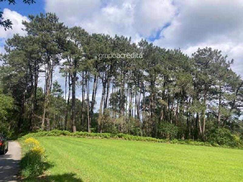 Foto 971e7fc7-a721-4aec-ac01-d4972e5e48ce. Landgut in Palmeira Ribeira