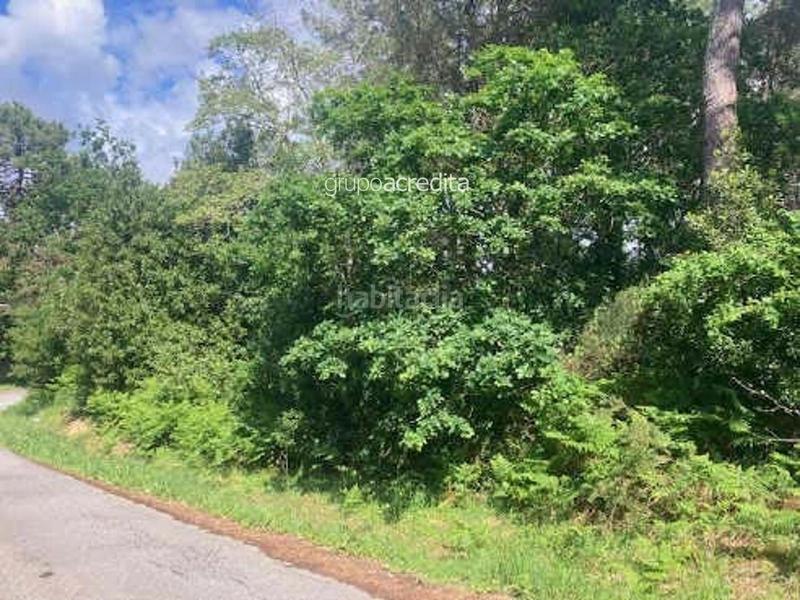 Foto bb0fa50d-451e-4f5d-88f4-da423866c526. Landgut in Palmeira Ribeira