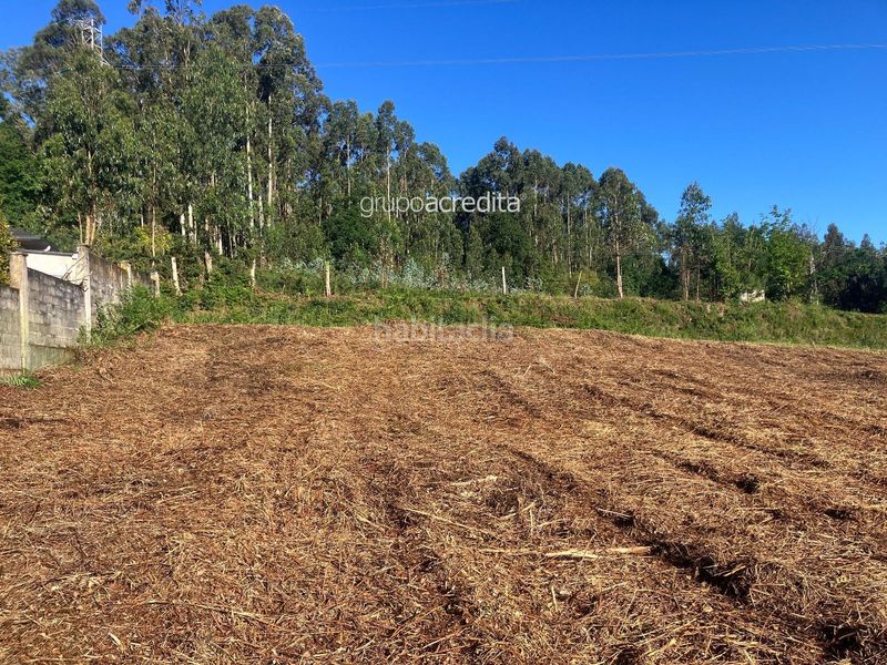 Foto f4a3e451-a765-4d37-b48f-fa0f4e1ba444. Finca rústica a Abegondo