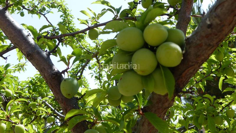 Foto 88a108cf-ce49-4674-88f5-fa24fcd20c32. Casa amb aparcament piscina a Sigeres