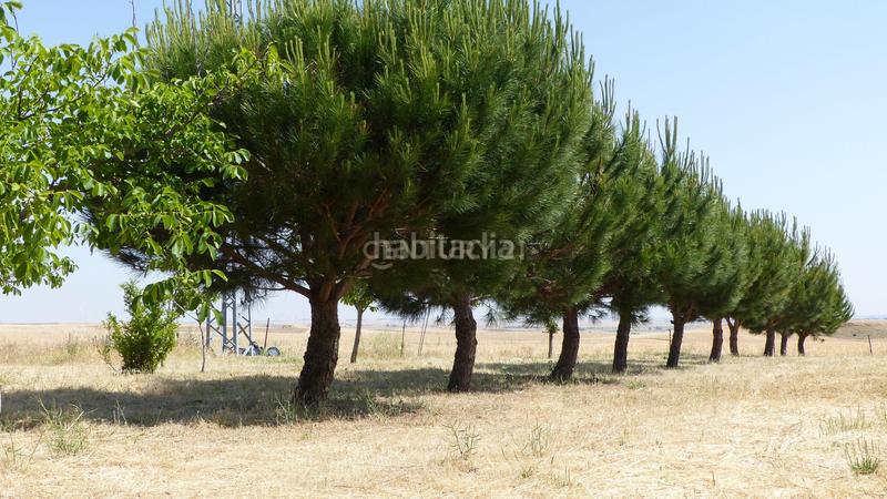 Foto 9af89fd6-bd8f-4939-b920-9f6cceee08aa. Casa amb aparcament piscina a Sigeres