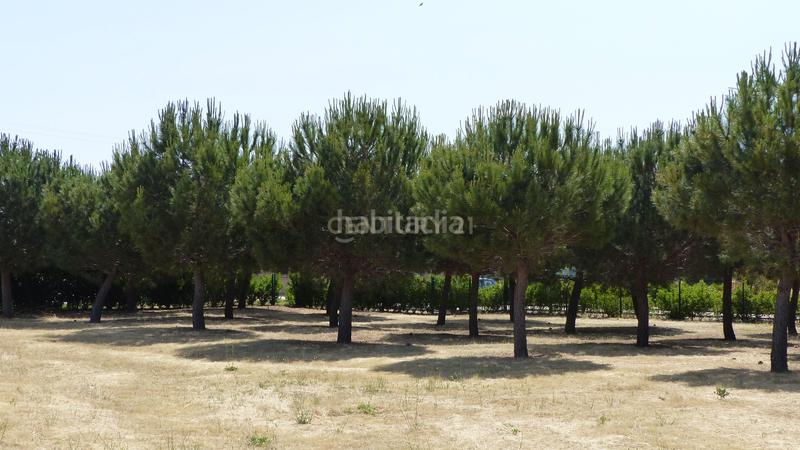 Foto abbed6a3-cede-42f6-9201-61635ad251f2. Casa amb aparcament piscina a Sigeres