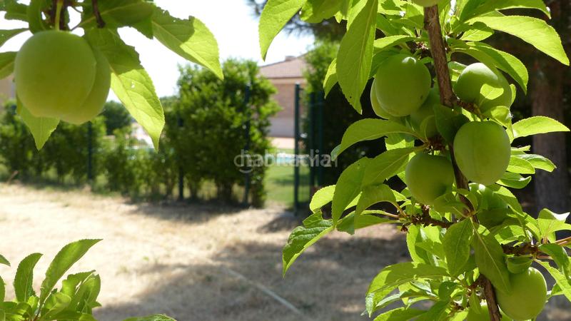Foto dc9edc68-808b-4f32-9ac9-f2fc9332f21c. Casa amb aparcament piscina a Sigeres