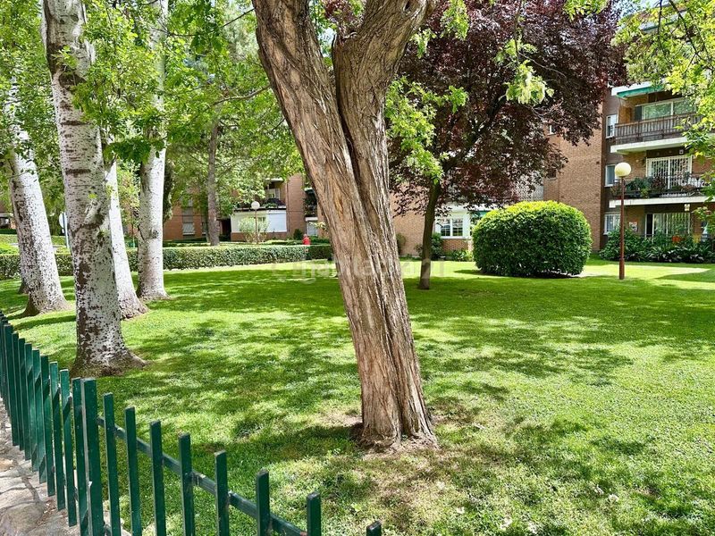 Foto 860f63d7-36b7-4d87-af39-97dfe2d3a744. Pis a Alameda de Osuna Madrid
