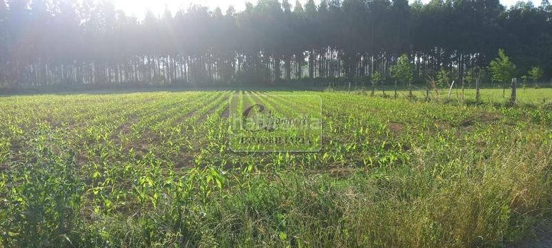 Foto 5a688587-23f4-498c-9f89-a2ffb2354ea7. Propriété dans Alto del Castaño Narón