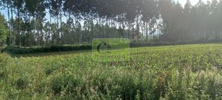 Propriété à Alto del Castaño