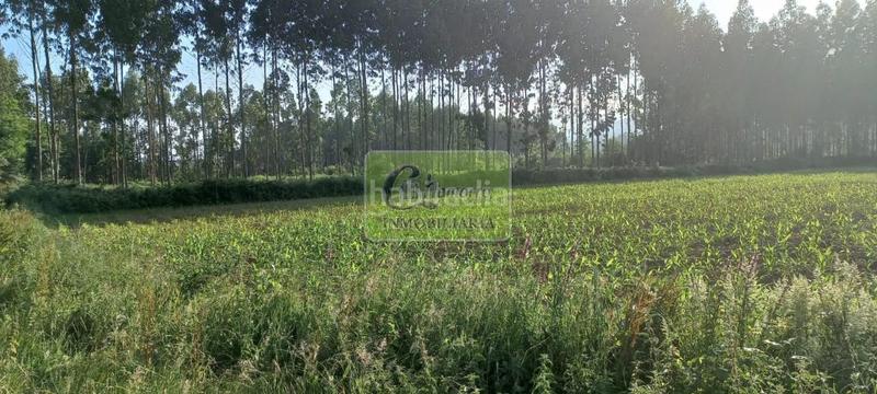 Foto 678f5b4a-279b-4f26-a9bb-07dddc82c539. Propriété dans Alto del Castaño Narón