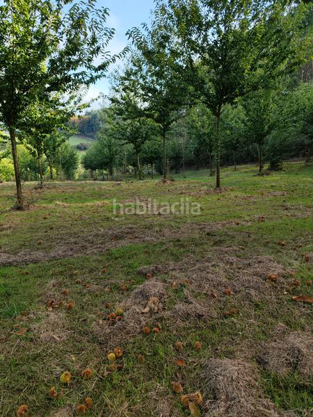 Foto 0c085ca7-dee7-415f-979f-c7ba96b7a92a. Rural plot in Sobrado