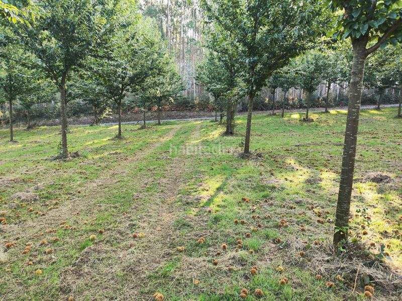 Foto 0f3b60e8-c657-4b71-9921-ef19f5110e31. Rural plot in Sobrado