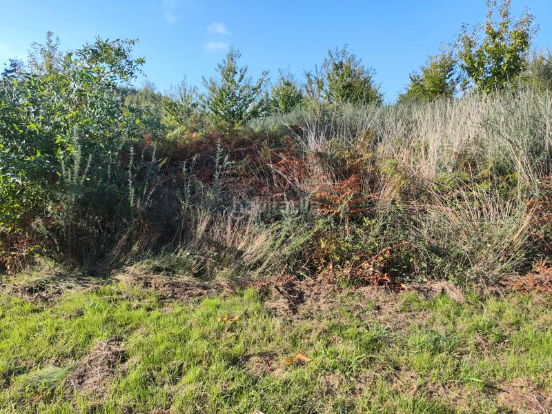 Foto 1b216da2-eeaa-4e9c-8fcc-8b881d84f64f. Rural plot in Sobrado