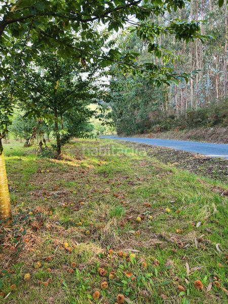 Foto 1ede9269-de54-4b65-9a67-cd043b6c240c. Rural plot in Sobrado