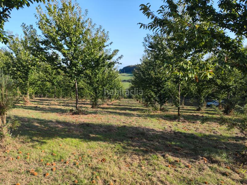 Foto 30871010-e4dd-416c-af5a-f8fd25ae8a2d. Rural plot in Sobrado