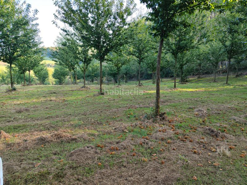 Foto 6e95c2da-40ea-4f1c-954c-2dd64ec869ee. Rural plot in Sobrado