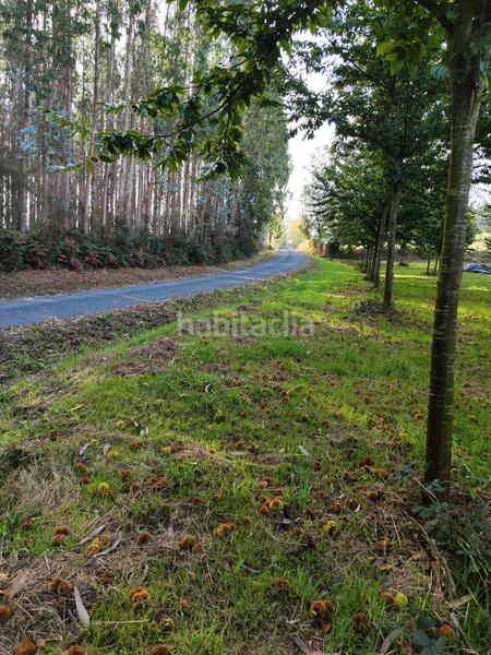 Foto 77dac9da-44dd-4f9f-9ca2-efb19884cc00. Rural plot in Sobrado