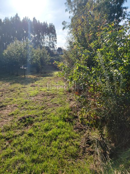 Foto f31c06f7-23bf-462e-9f72-91f6267c4fd9. Rural plot in Sobrado