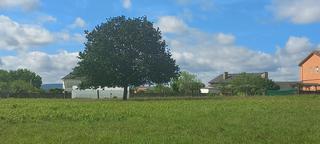Residential Plot  Pombo