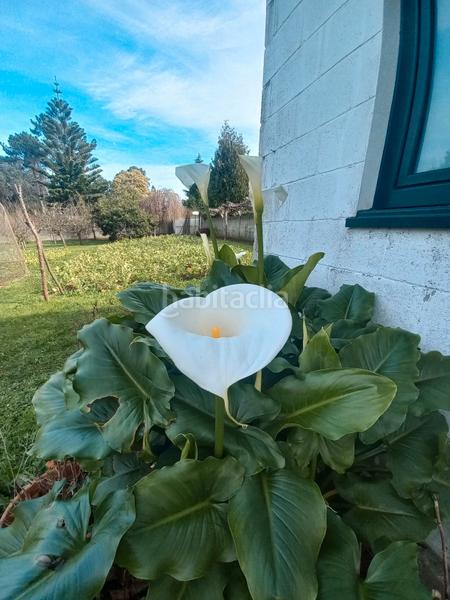 Foto d0b90db1-a849-4da3-b1b4-19ab13026ad1. Terrain résidentiel dans rúa anduriñas 2b dans Liáns Oleiros