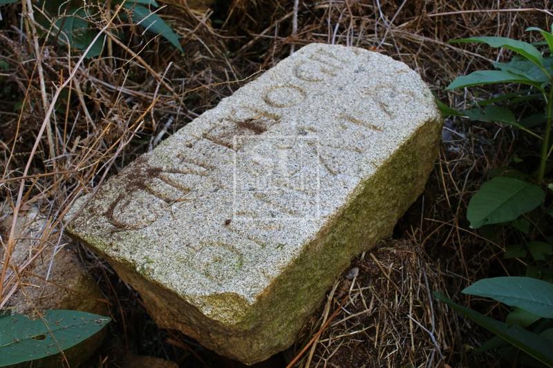 Foto 22dcd9c4-846b-44b1-8164-6423f2fcfbd9. Casale in Neves (As)