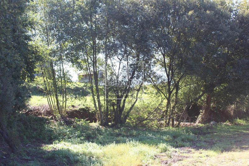 Foto aa5992ab-8740-4cc8-83e9-348159b7b1f9. Masia a Neves (As)