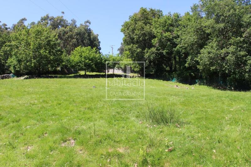 Foto 11541c78-4932-4a91-a98f-852dbcdadc65. Masía en Lama (A)