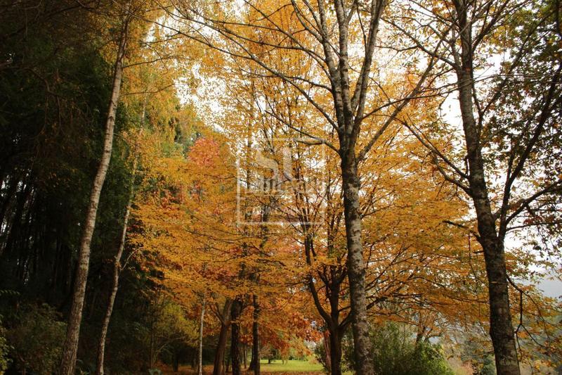 Foto 37e05ba5-2767-45c0-9925-8ab53b7114c1. Xalet amb calefacció aparcament a Gondomar