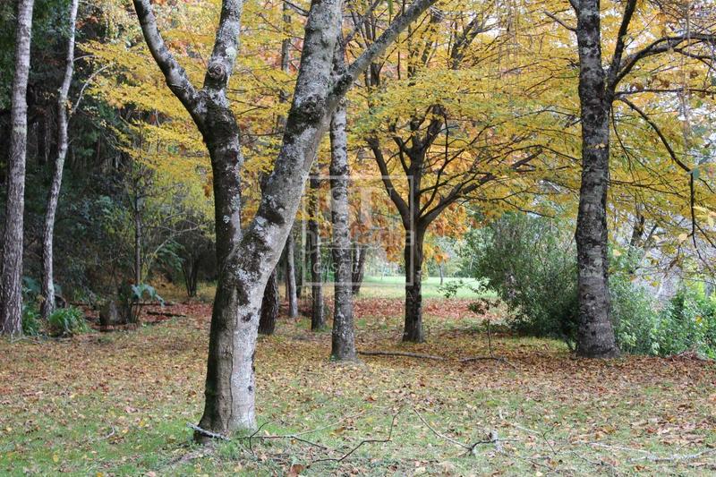 Foto 4f1fc88c-c493-41f6-a717-e35eb3fbd78e. Xalet amb calefacció aparcament a Gondomar