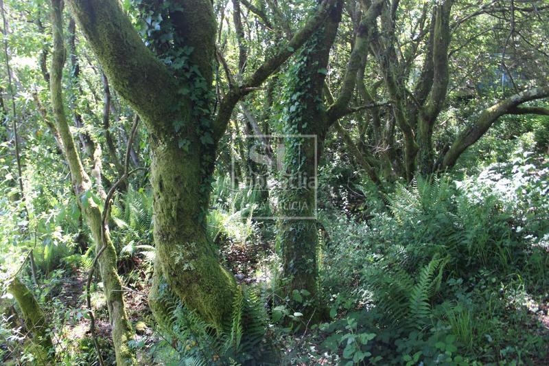 Foto 0af533de-f953-493f-a48d-e31e416803fa. Chalet mit heizung parking in Tomiño