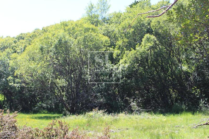 Foto 6b44d9b5-4dd0-4e26-bcd1-e38d2ad23138. Chalet avec chauffage parking dans Tomiño