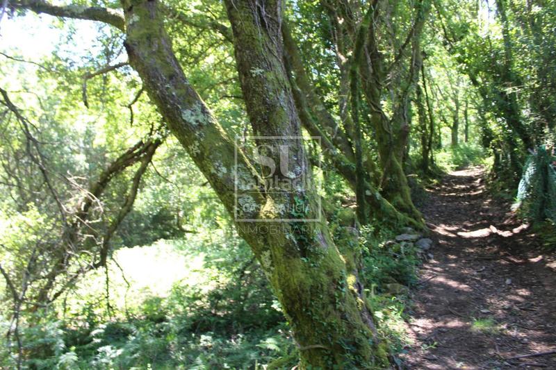 Foto 79a9bfc1-26d5-4830-a59c-3308c3a5495d. Chalet avec chauffage parking dans Tomiño