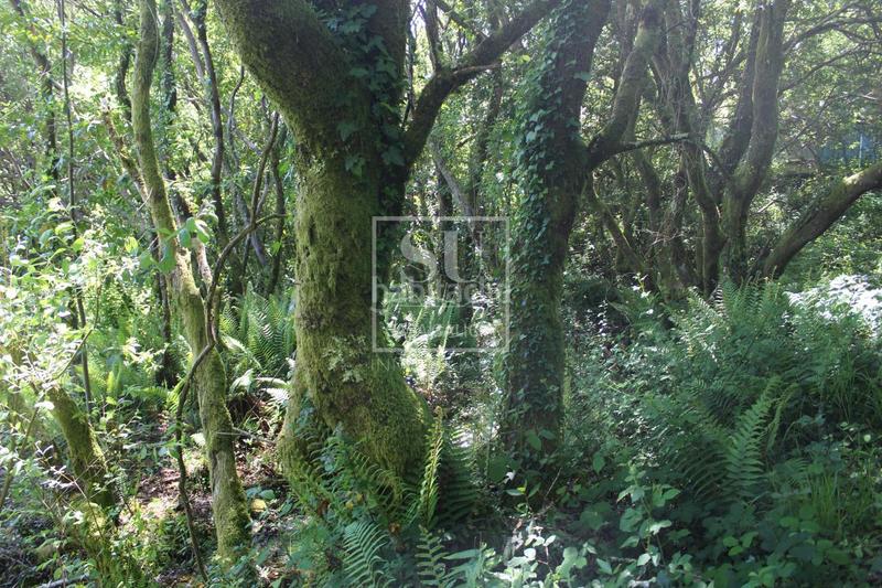 Foto 87bfea65-f1ba-4082-980d-7f4b32ab4d2f. Chalet avec chauffage parking dans Tomiño