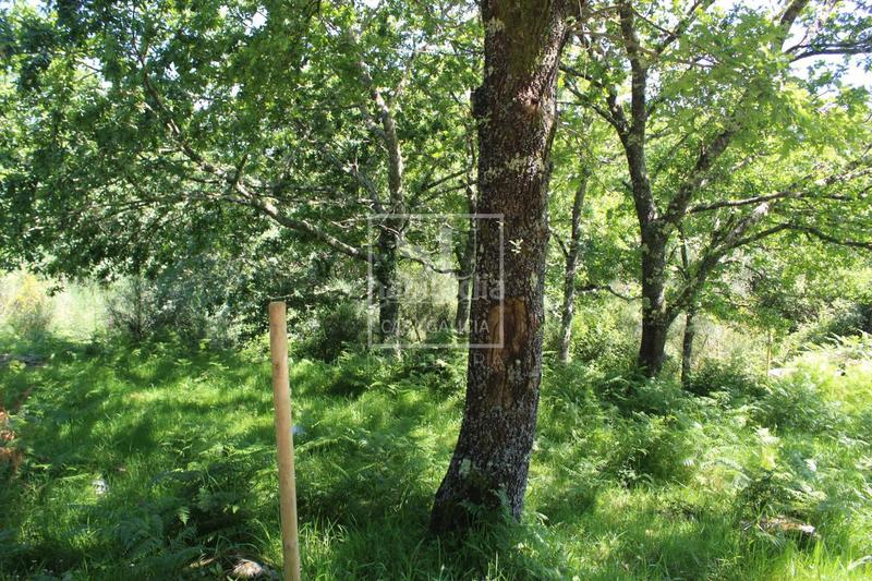 Foto ae615949-1fa8-4ba5-b78c-5c1f7aa90b59. Chalet avec chauffage parking dans Tomiño