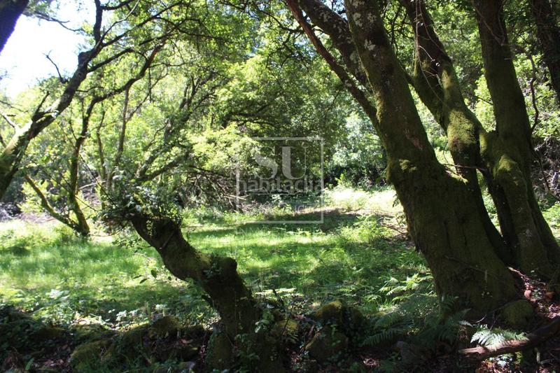 Foto b96a52dd-b5d9-4b3f-b47b-cbf2abb15528. Chalet avec chauffage parking dans Tomiño