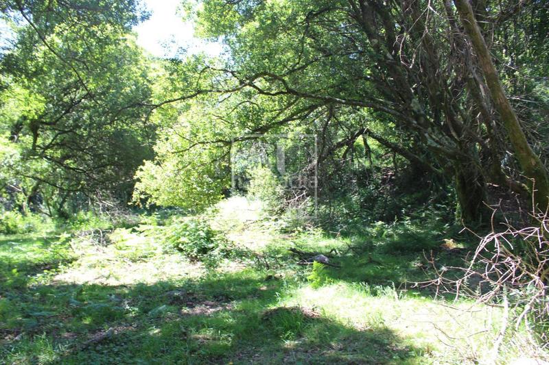 Foto ef478de0-df73-4d87-8128-176771901868. Chalet avec chauffage parking dans Tomiño