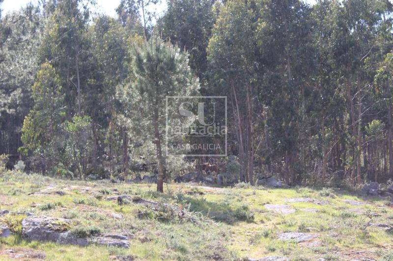 Foto 38d54531-4d2e-4e3b-adab-c7c4704cf63c. Chalet mit heizung parking pool in Baiona