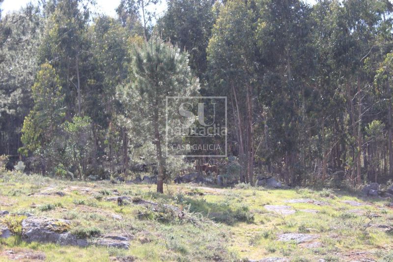 Foto 1fae2e34-9ce0-4cf4-85da-8e95214025fc. Chalet en Baiona